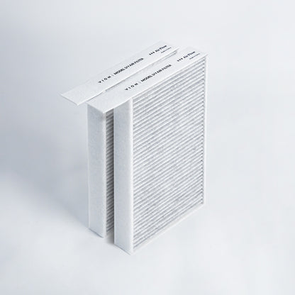 Model 3/Y Cabin Air Filters (2 Packs)